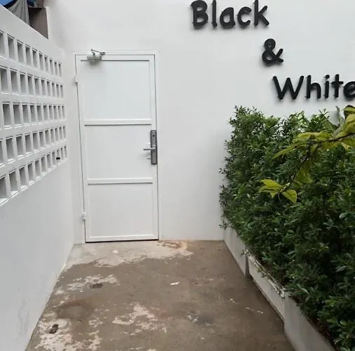 Mr Black & Ms White -self Check In *